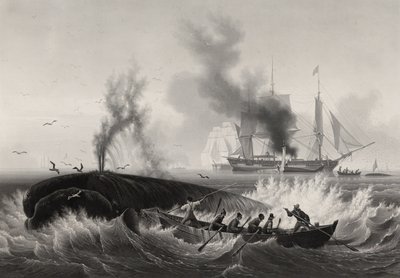 Pêche de la Baleine, 1834-35 de Frederic Martens